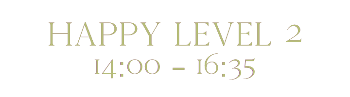 happy_level2