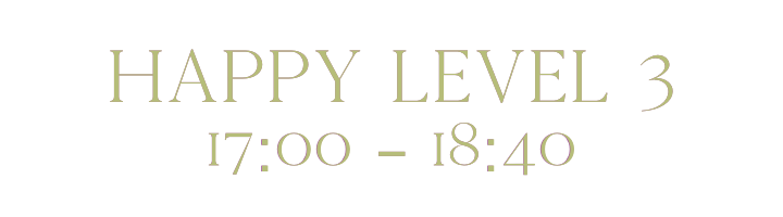 happy_level3